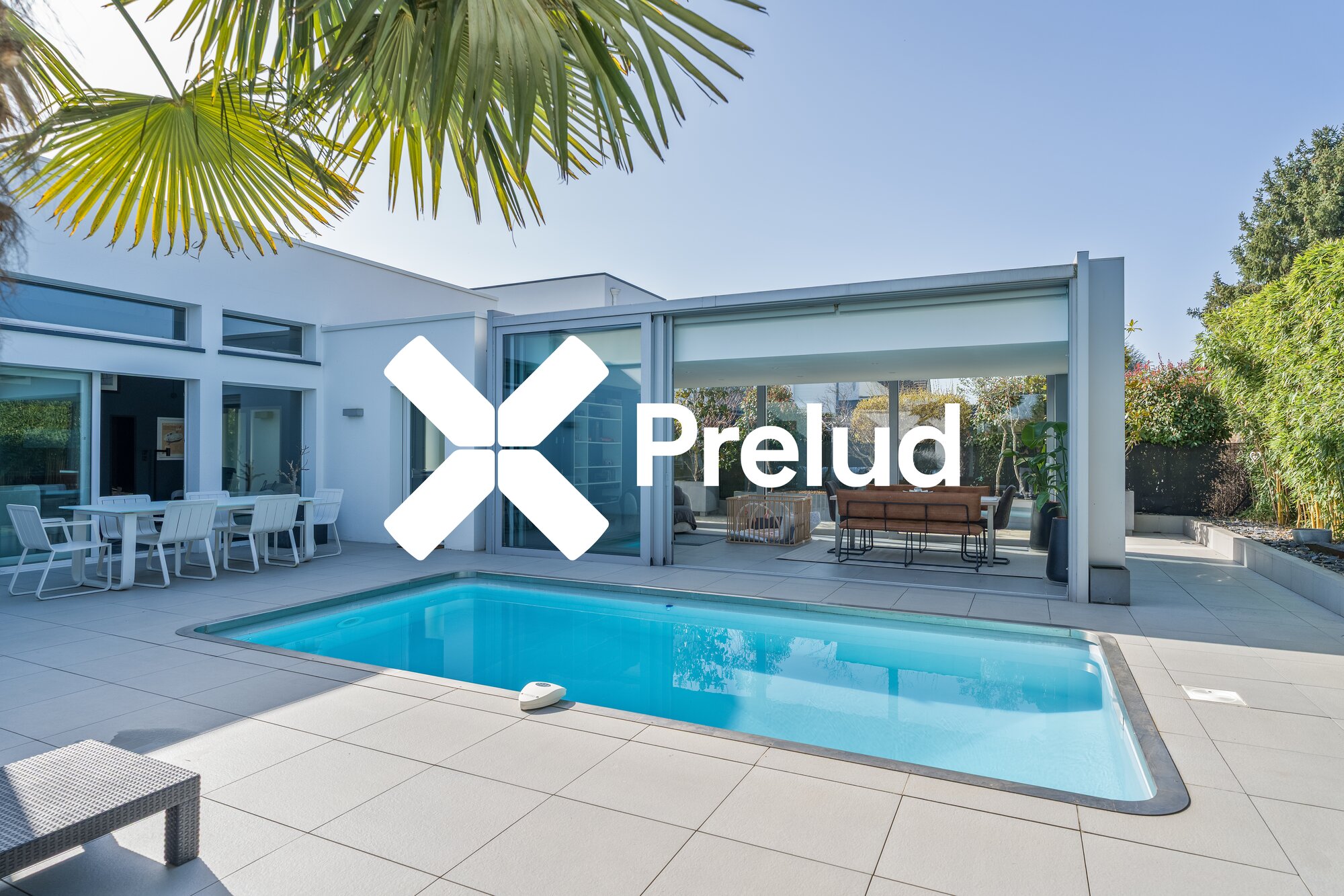 Piscine avec palmier et terrasse — villa contemporaine Marly